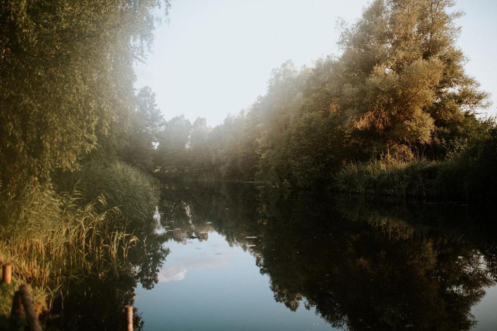 Dom Goscinny Sowia Stopka Miłomłyn Kültér fotó