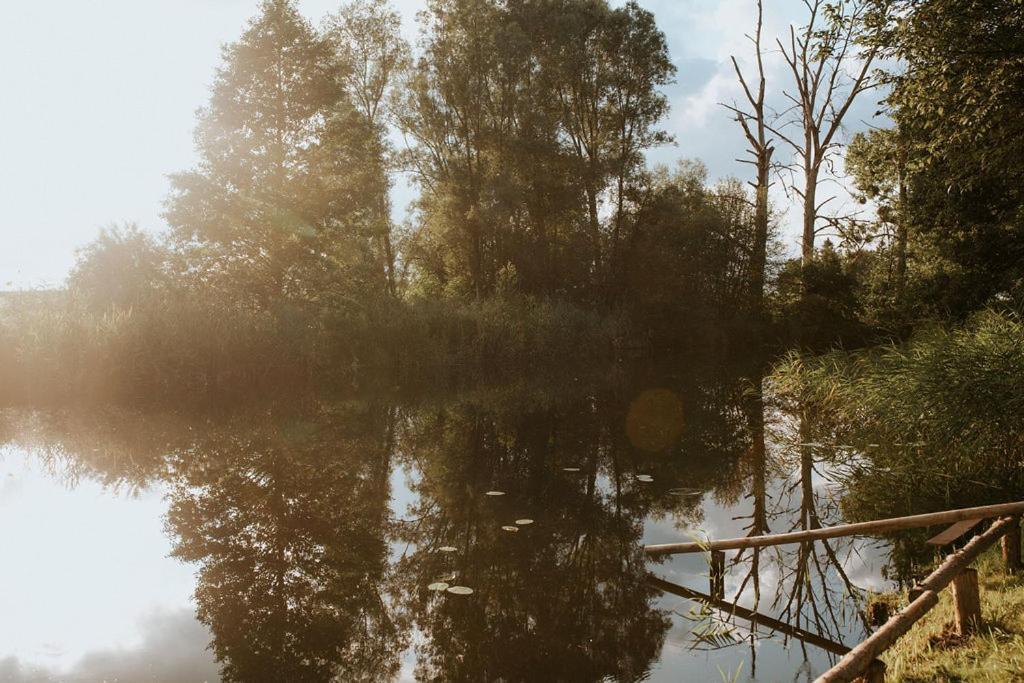 Dom Goscinny Sowia Stopka Miłomłyn Kültér fotó